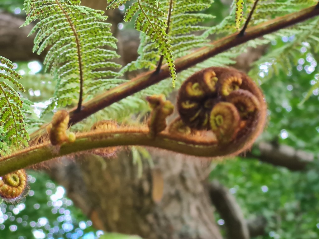 Transform your life with a Soul Realignment® for you and your family ...